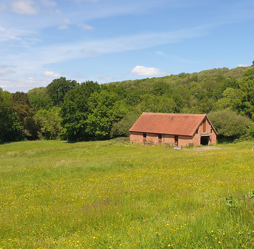 Free Site Visit - Richmond Bell Architects Wiltshire