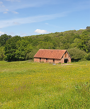 Barn Conversion - Sustainable Architects Richmond Bell Architects Wiltshire